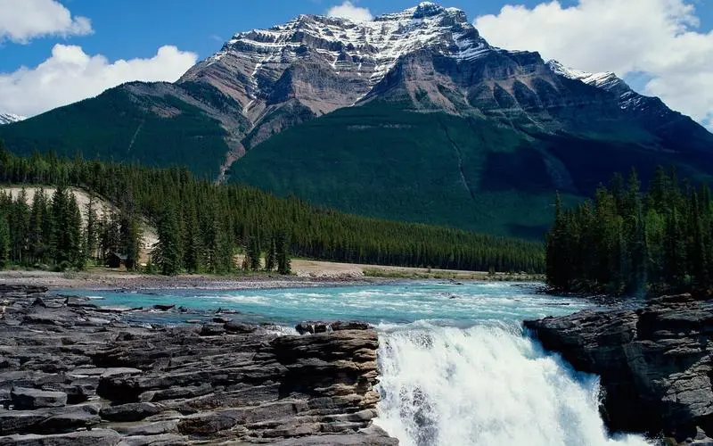 无人化高效高标准